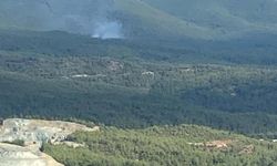 Kütahya'da Yıldırım Düşen Ormanda Yangın Çıktı