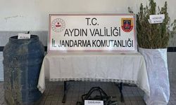 Ormanda kenevir operasyonu: 5 gözaltı