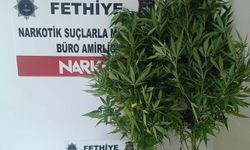Zehirle mücadele sürüyor: 19 tutuklama