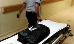 8 Günlük Bebek Ölü Bulundu: Soruşturma Başlatıldı