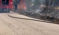 Çalılık alanda çıkan yangın paniğe sebep oldu