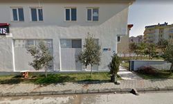 Eczane sahiplerinden şaşkına çeviren hamle: Zeytinler sahiplenildi