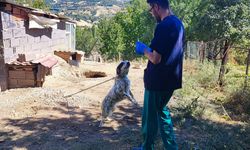 Gaipler Köyü’nde Köpeklere Dijital Kimlik ve Kuduz Aşısı Uygulaması