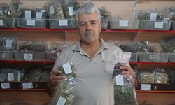 Kütahyalı Aktar Uyardı; "İnternetten Bitki Çayı Almayın!"