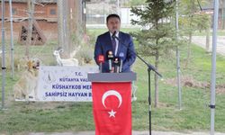 Kütahya’da Sahipsiz Hayvanlar İçin Tarihi Adım  “20 Bin Köpeğin %95’i Toplandı"