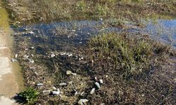 Kütahyalı Vatandaş isyan etti: “Ağaçköy Regülatörü pislik içinde bırakılmış!”