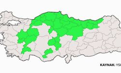 DEM’in Neredeyse Hiç Oy Alamadığı İller Açıklandı: Listede Kütahya da Var!
