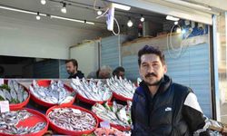 Balık severlere müjde: Hamsi ve sardalya tam kıvamında