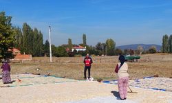 Çavdarhisar’da üreticinin yüzü kabakla gülüyor