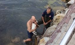 Deniz kenarında sıkışan köpek için kurtarma operasyonu