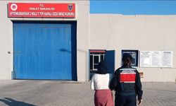 Jandarmadan suçlulara geçit yok: 37 kişi yakalandı