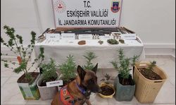 Jandarmadan uyuşturucu ve silah baskını: 7 şüpheli yakalandı
