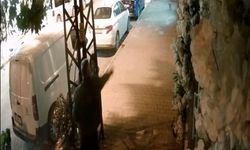 Kapalı Kuaföre Yumurtalı Saldırı: O Anlar Güvenlik Kamerasında