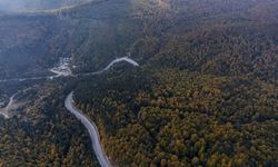 Kütahya Sonbaharda Renk Cümbüşüne Büründü