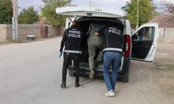 Polis Uygulamasında Uyuşturucu ve Silah Ele Geçti
