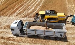 Arpa fiyatlarında ateş düşmüyor