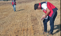 Domaniç'te ÇKS beyan tespit çalışmaları gerçekleştirildi