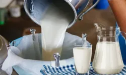 Kütahyalı Üreticiler Dikkat: Son Gün 13 Ekim