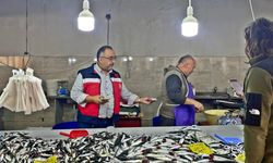 Kütahya’da balık pazarı denetimleri sıkı takipte