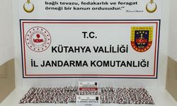Kütahya'da zehirle savaş sürüyor: 1 tutuklama
