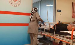 Ormanda topladığı mantarı yedi, hastanelik oldu