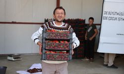 Barbunya başkentinde işler çileğe döndü