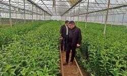 Emet'te seracılık teknik gezisi düzenlendi