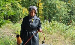 Kütahya'da bahçeye ayı girdi: ''3 yıllık emeğim boşa gitti''