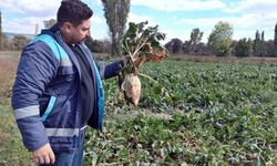 Emet’te Şeker Pancarı Tarlalarına Yakın Takip: Verimlilik İçin Sahada Denetim Başladı