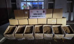 Operasyon yapılan iş yeri kaçak tütün yuvası çıktı
