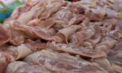 Bu da Oldu! 25 Ton Çürümüş Tavuk Yedireceklerdi