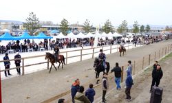 Tavşanlı’da Bir İlk: Rahvan At Yarışları Büyük İlgi Gördü!