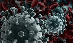 Kanserde Zamanla Yarış: Akciğer Kanserinde Erken Tanı Umut Oluyor