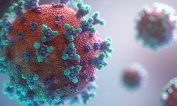 Pandemi sonrası en bulaşıcı salgın kapıda