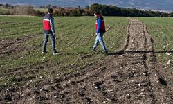 Fenolojik Veriler Üretime Rehber Olacak! Kütahya’da Takip Başladı