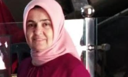 Ağaçtan düşen kadın yaşamını yitirdi