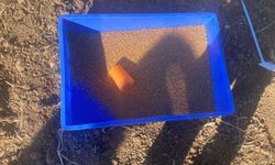 Bölge Tarımına Güç Katacak Çeşit Denemeleri Altıntaş’ta Başladı