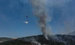 Kütahya Ormanları Tehlikede! Yangına Havadan ve Karadan Müdahale Ediliyor