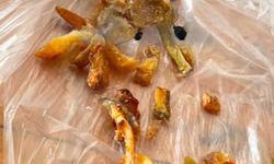 Kütahya'da Okula Gelen Sipariş Pes Dedirtti!