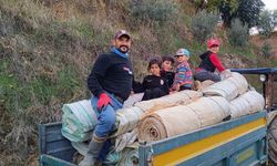 Bağlarda örtü hareketliliği: Sarıgöl’de yoğun mesai