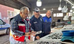 Balık tezgahlarında sıkı denetim: Emet’te kontroller başladı