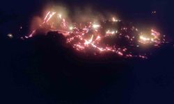 Çiftlik Arazisindeki Ateş Rüzgarla Büyüdü: Ekipler Seferber Oldu