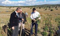 Dumlupınar’da şeker pancarı hasadına kaymakam denetimi