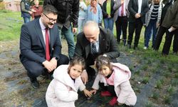 Eskişehir safran üretiminde birincilik yolunda