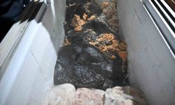 Halk Sağlığı Tehlikede! 150 Kilo Pişmiş Tavuk Çöplükten Döndü