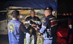 Küçükbaş hayvan çalan 4 kişi yakalandı