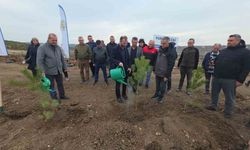Kütahya’da duygulandıran proje: Sevil hatıra ormanı