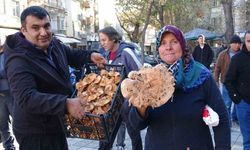 Kütahya’da melki bolluğu fiyatı düşürdü