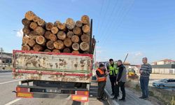 Kütahya’da orman taşımacılığına yakın takip