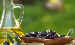 Marmarabirlik 761 Milyon TL’yi Hesaplara Aktardı